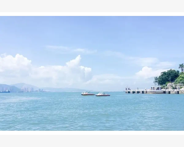 澳洲会计师公会办事处服务与联系全知晓